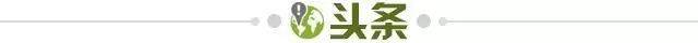 0123f7d9-b0a4-4c90-a5e4-62cea3853a12.jpg@!img01